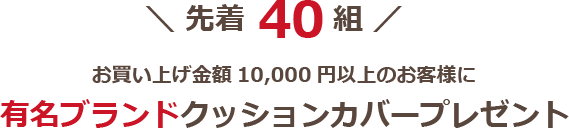 特典4クッションカバープレゼント